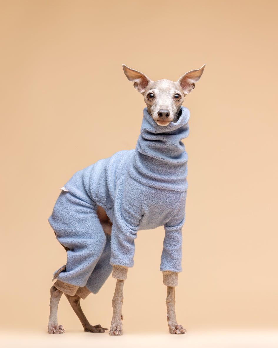 Italian Greyhound with Dobby sweatshirt 2