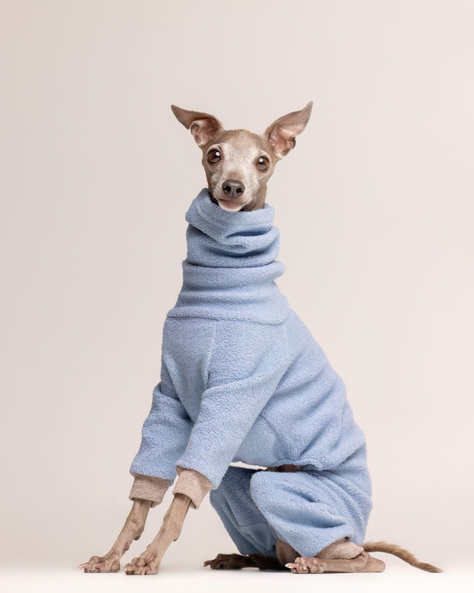 Italian Greyhound with Dobby sweatshirt 3