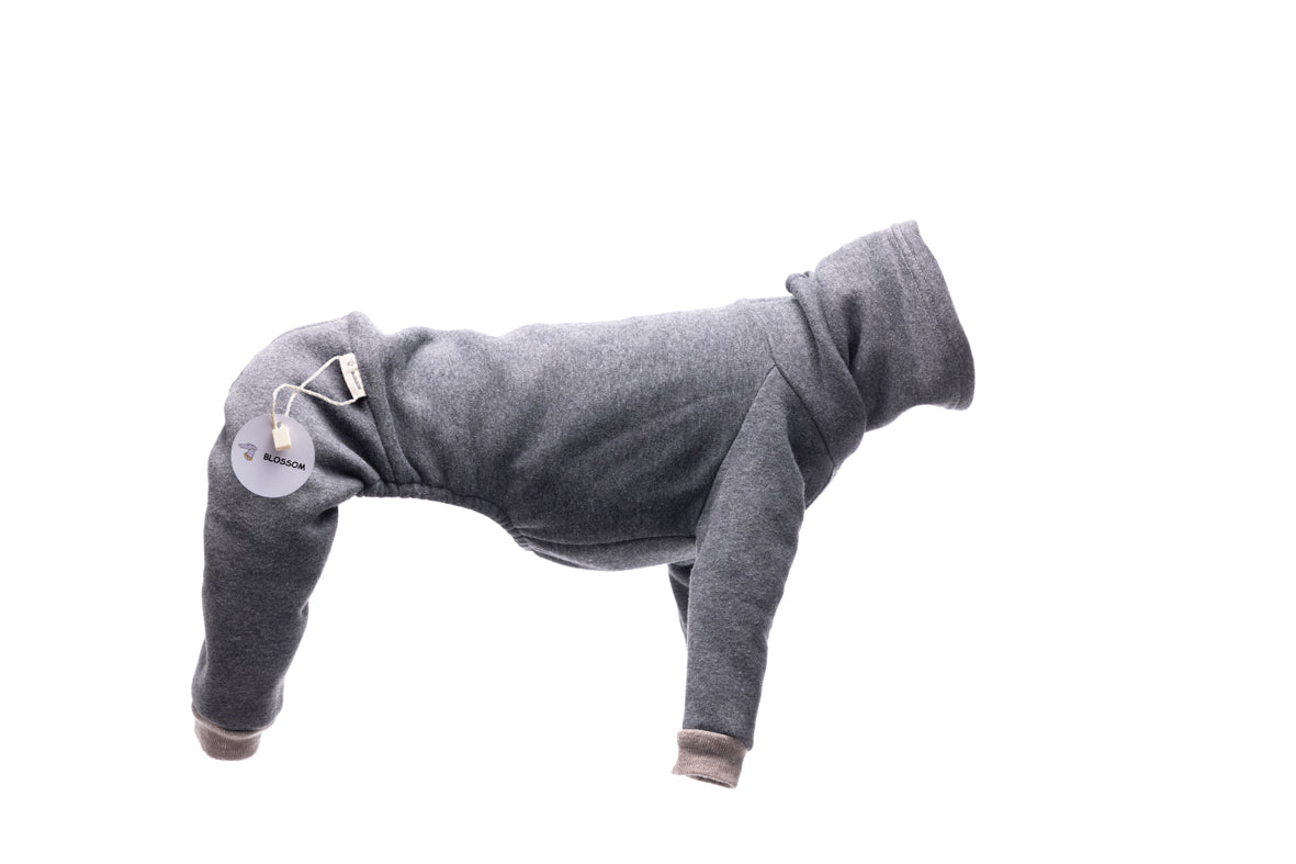 Kenzo sweatshirt product